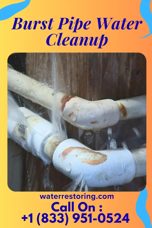 Burst Pipe Water Cleanup in West Sullivan, MO