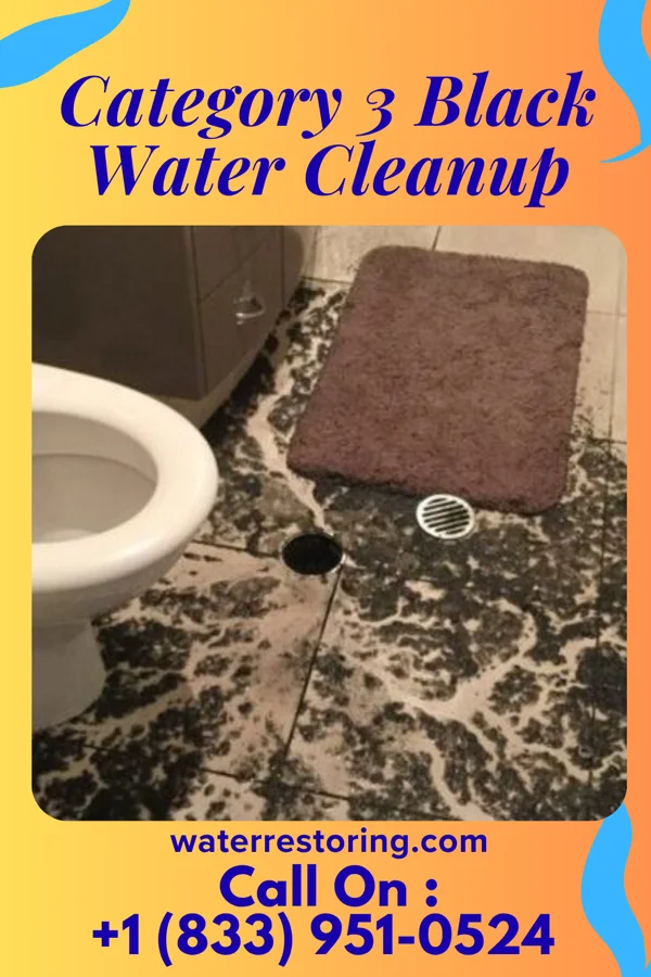 Category 3 Black Water Cleanup in West Sullivan, MO
