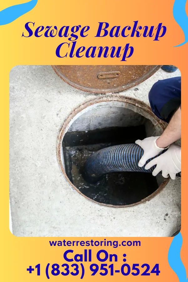 Sewage Backup Cleanup in West Sullivan, MO