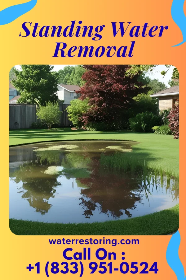 Standing Water Removal in West Sullivan, MO